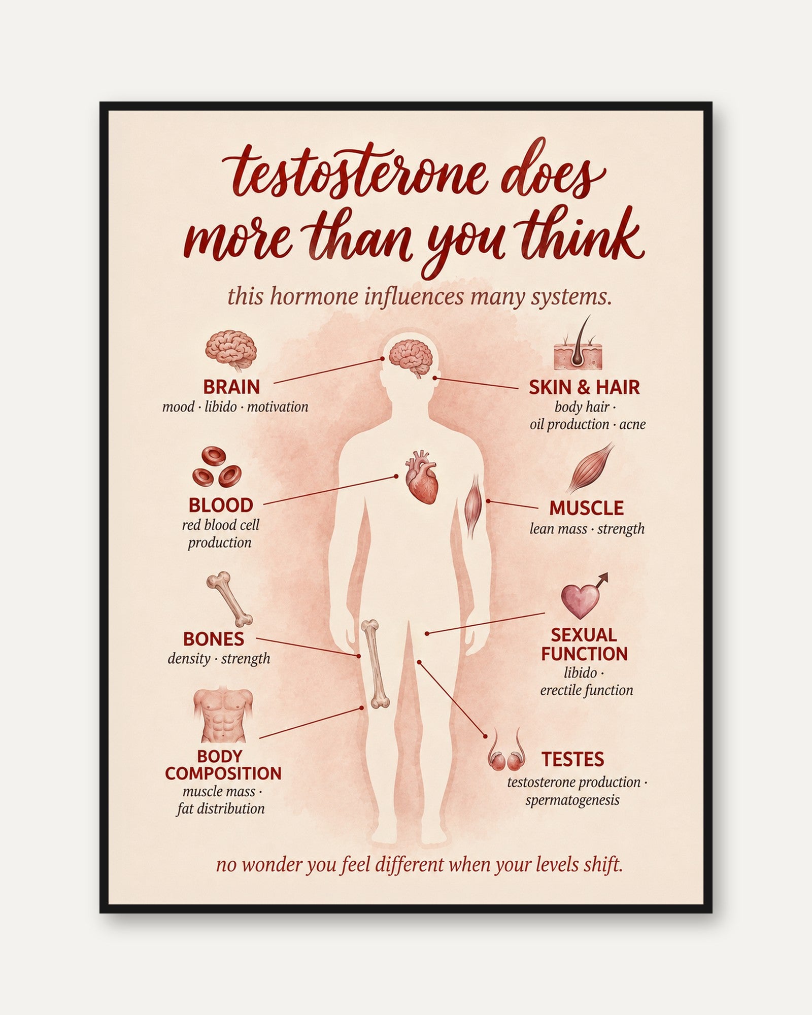 Testosterone Poster – Health Education Print - framed