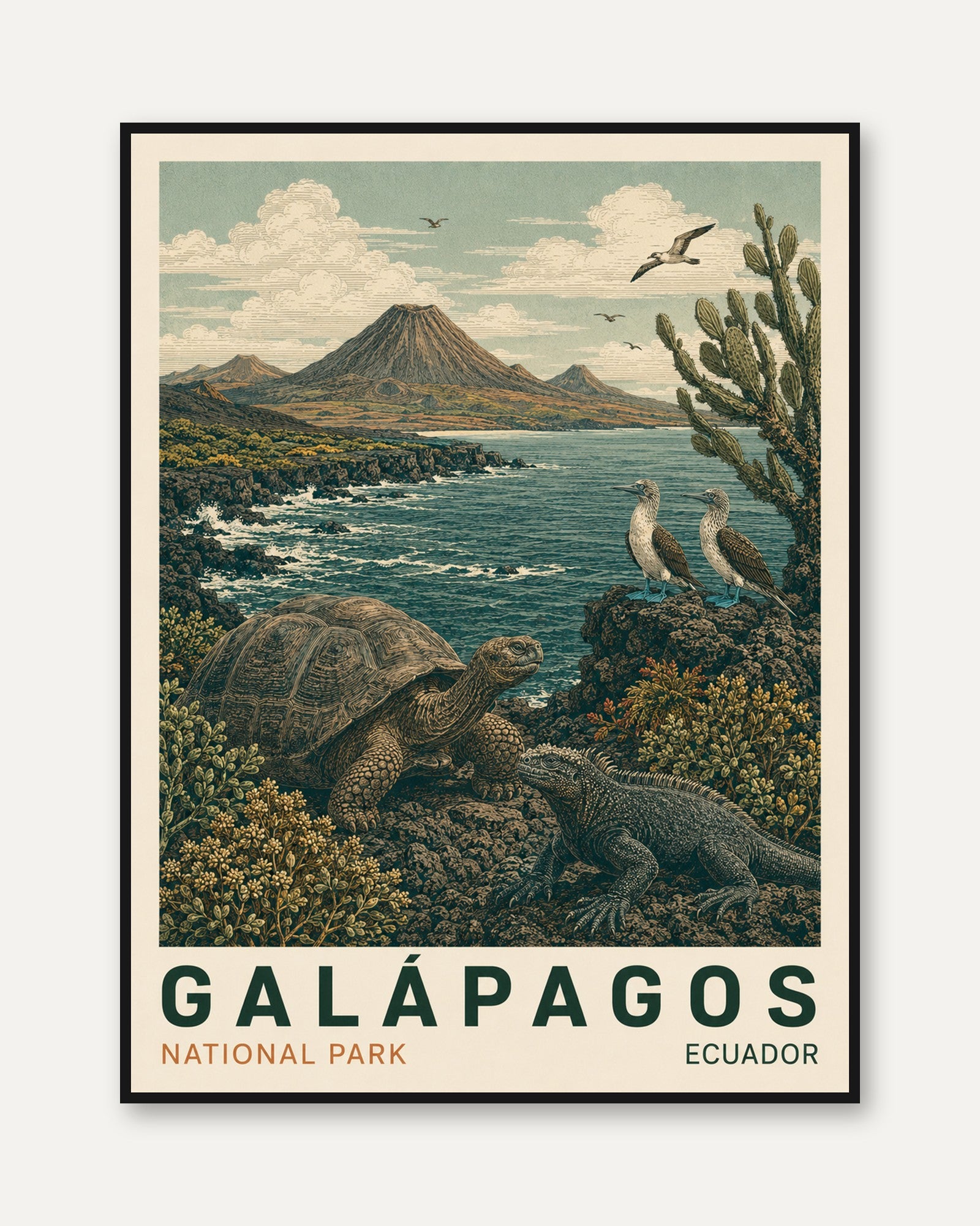 Galapagos Poster – Ecuador Travel Print - framed