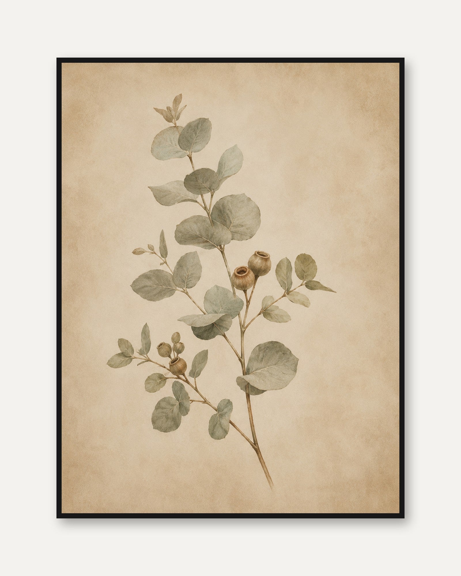 Eucalyptus Botanical Print — Soft Watercolor Branches - framed