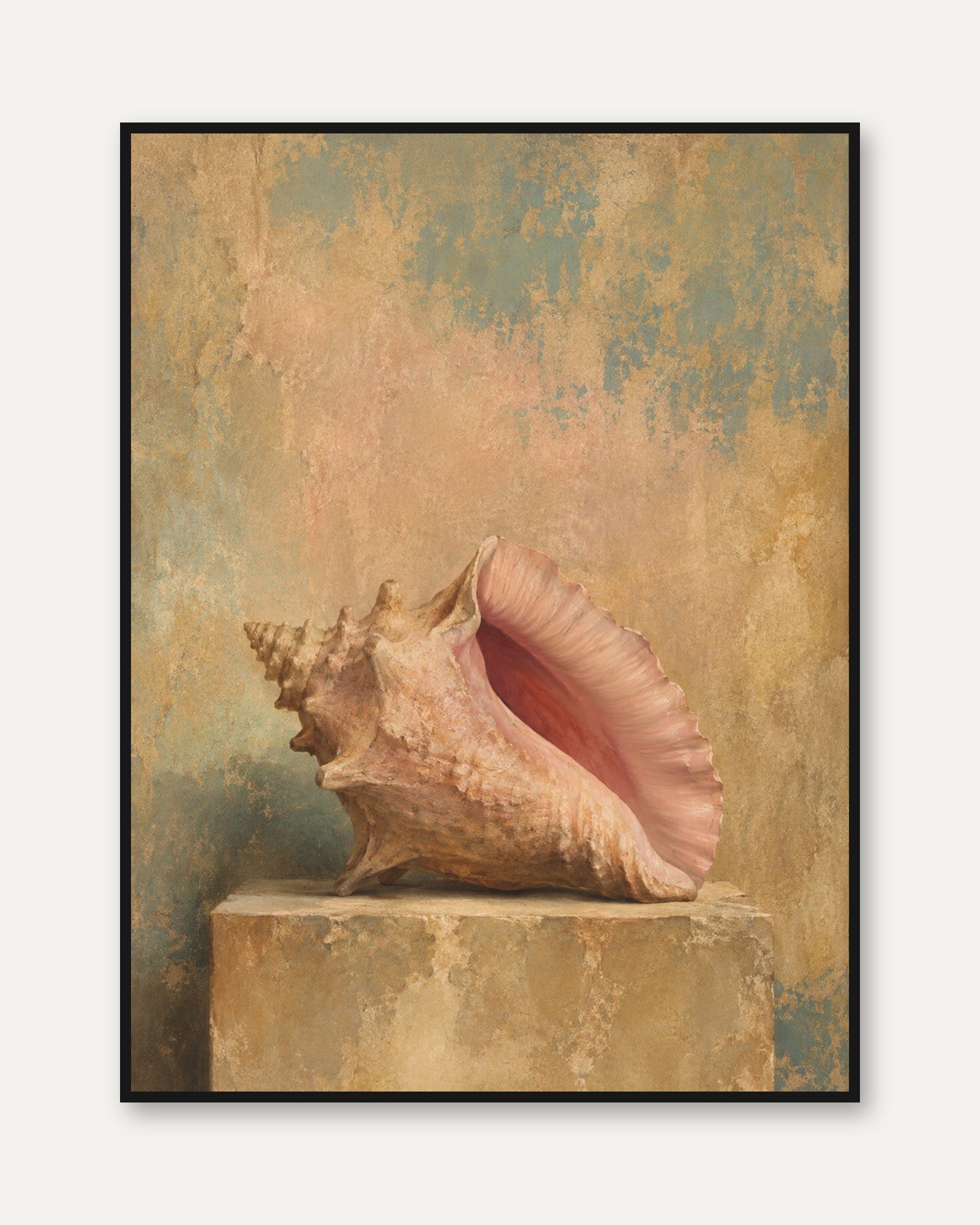 Vintage Seashell Art – Coastal Print - framed