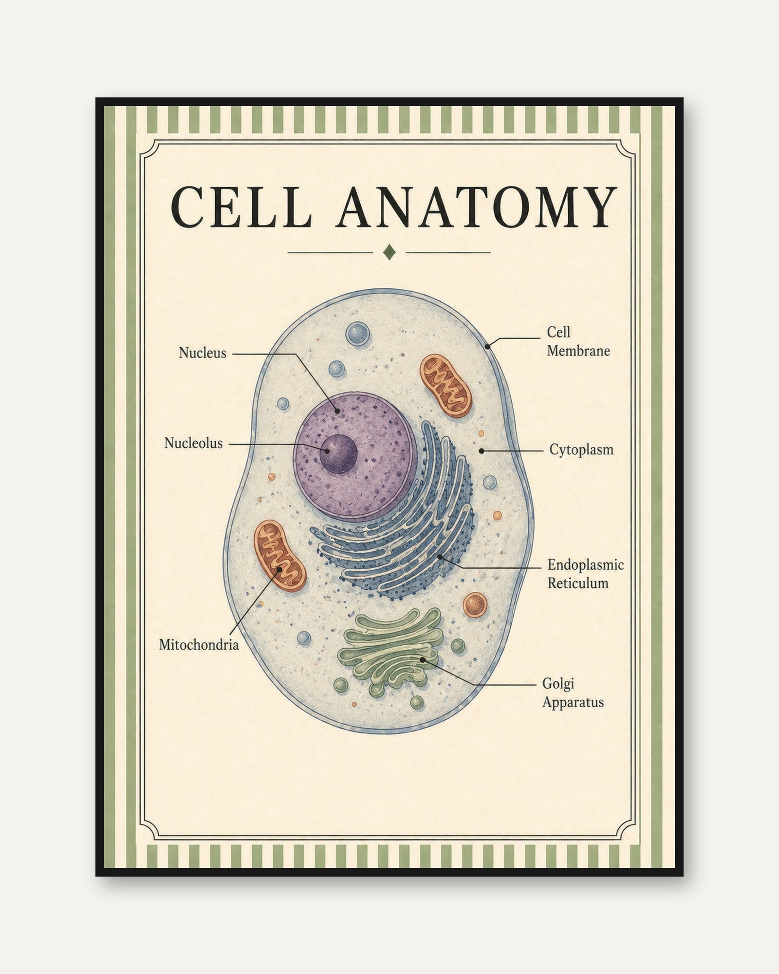 Cell Anatomy Poster – Biology Classroom Decor - framed