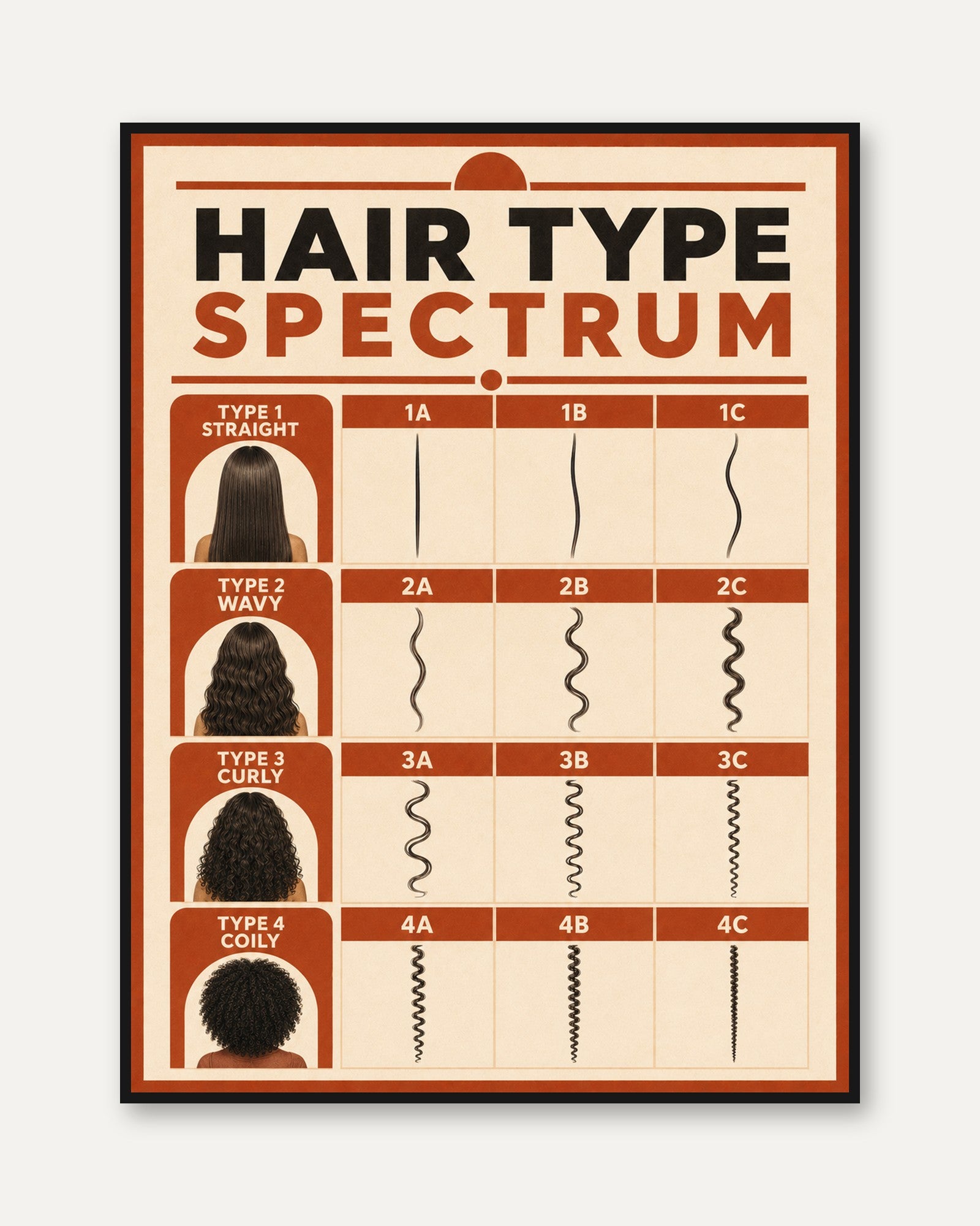 Hair Type Spectrum Chart: Vintage Educational Poster - framed