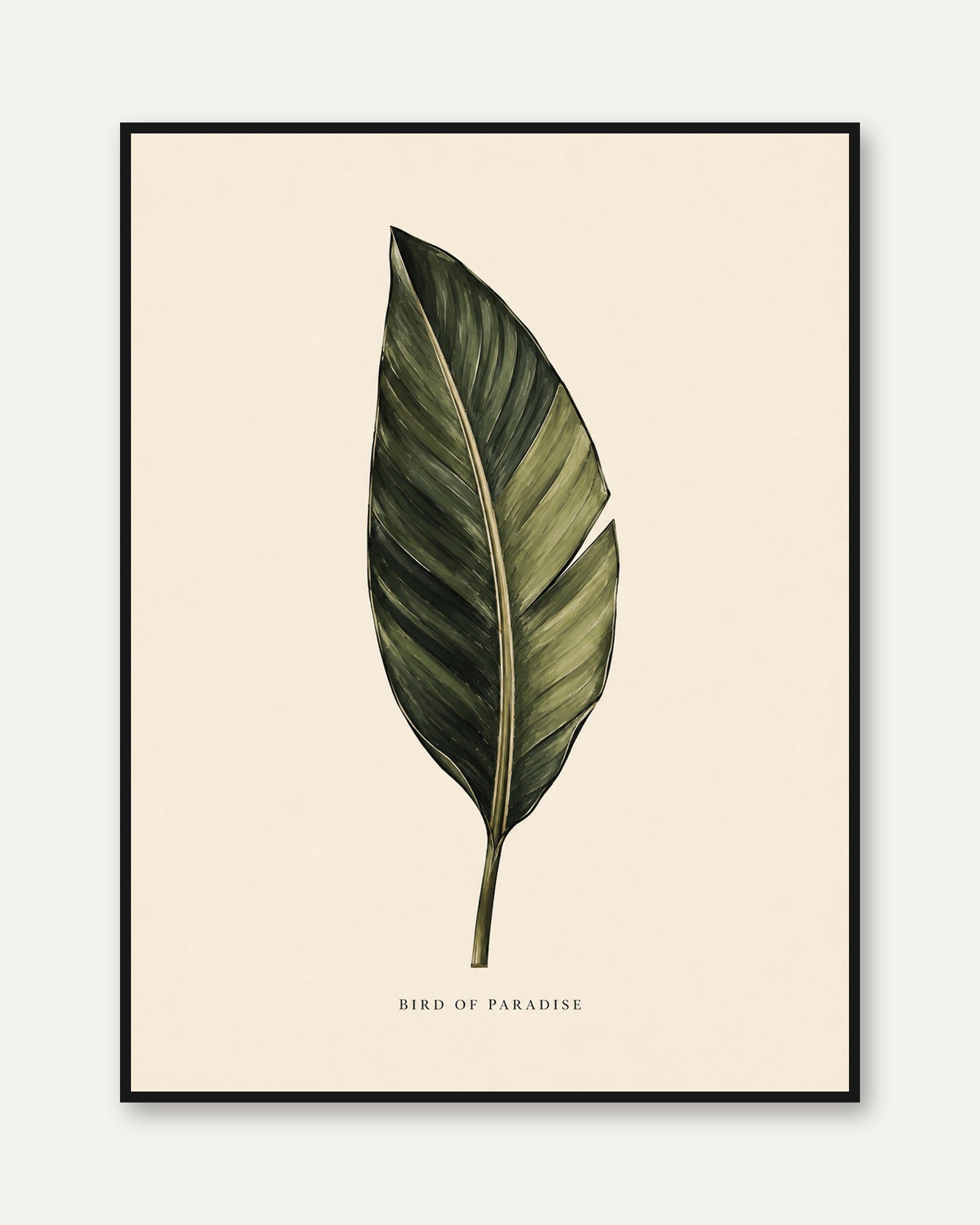 Bird of Paradise Leaf Print: Botanical Green Wall Art - framed