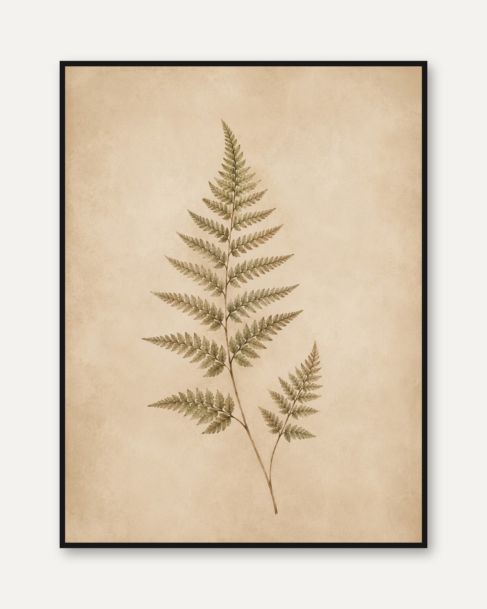 Botanical Fern Print — Pressed Leaf Illustration - framed