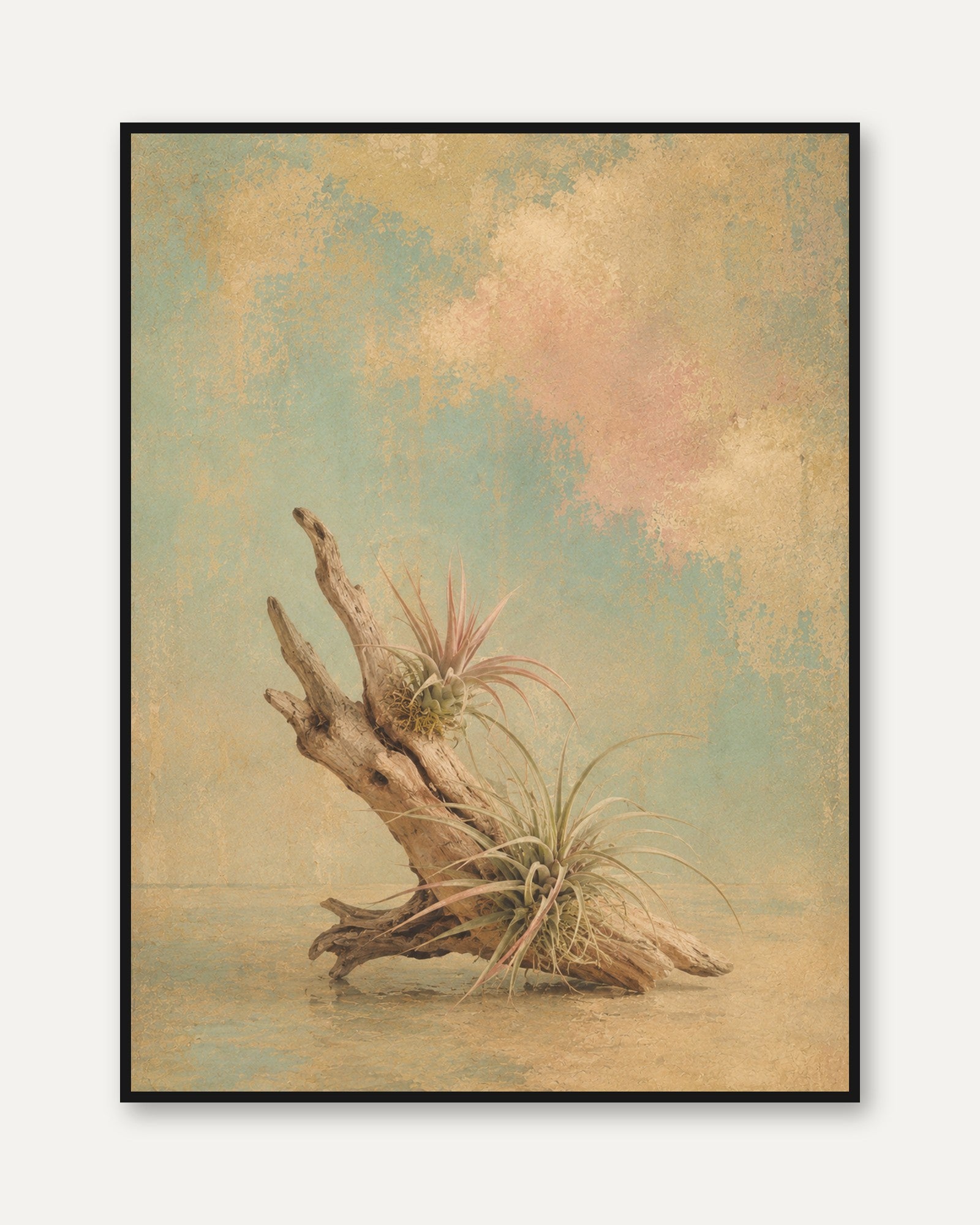 Driftwood Wall Art – Air Plant Print - framed