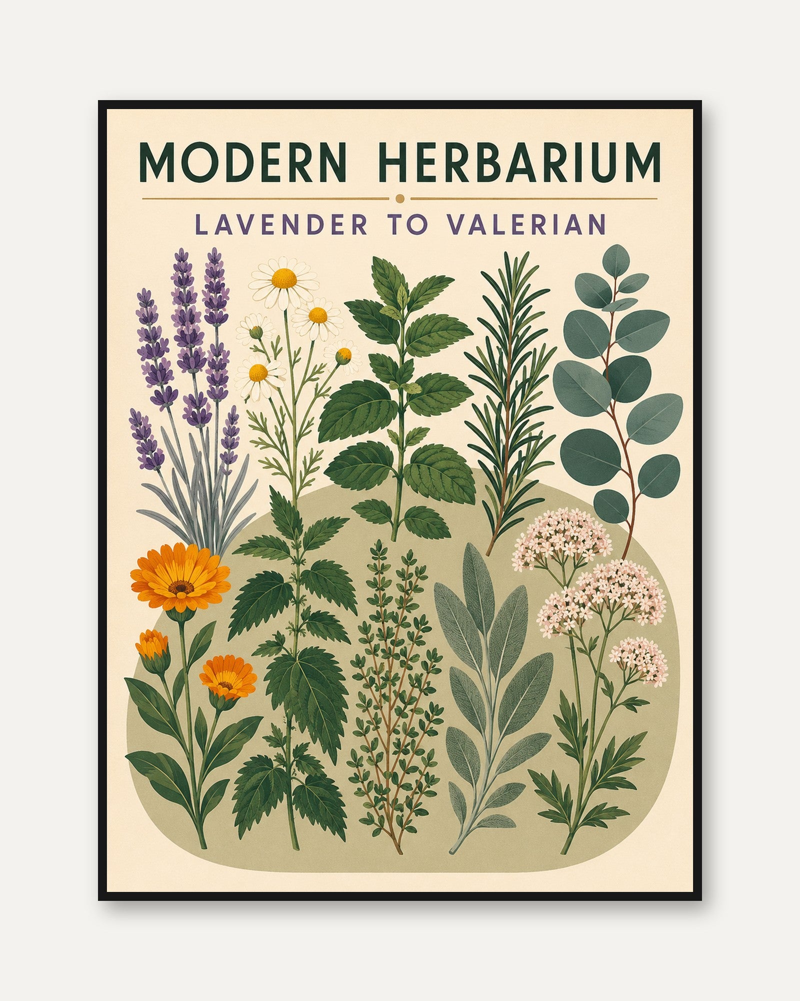Botanical Wall Art: Lavender to Valerian - framed