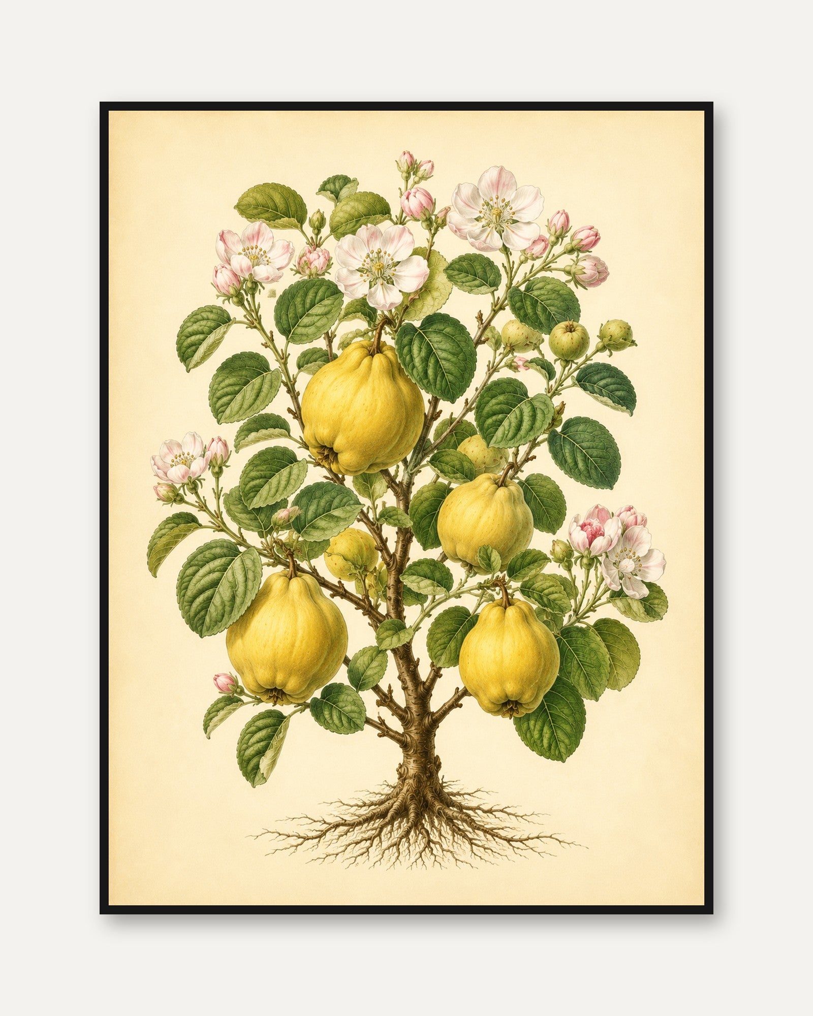 Vintage Quince Botanical Print — Hand-Painted Fruit Tree Illustration - framed