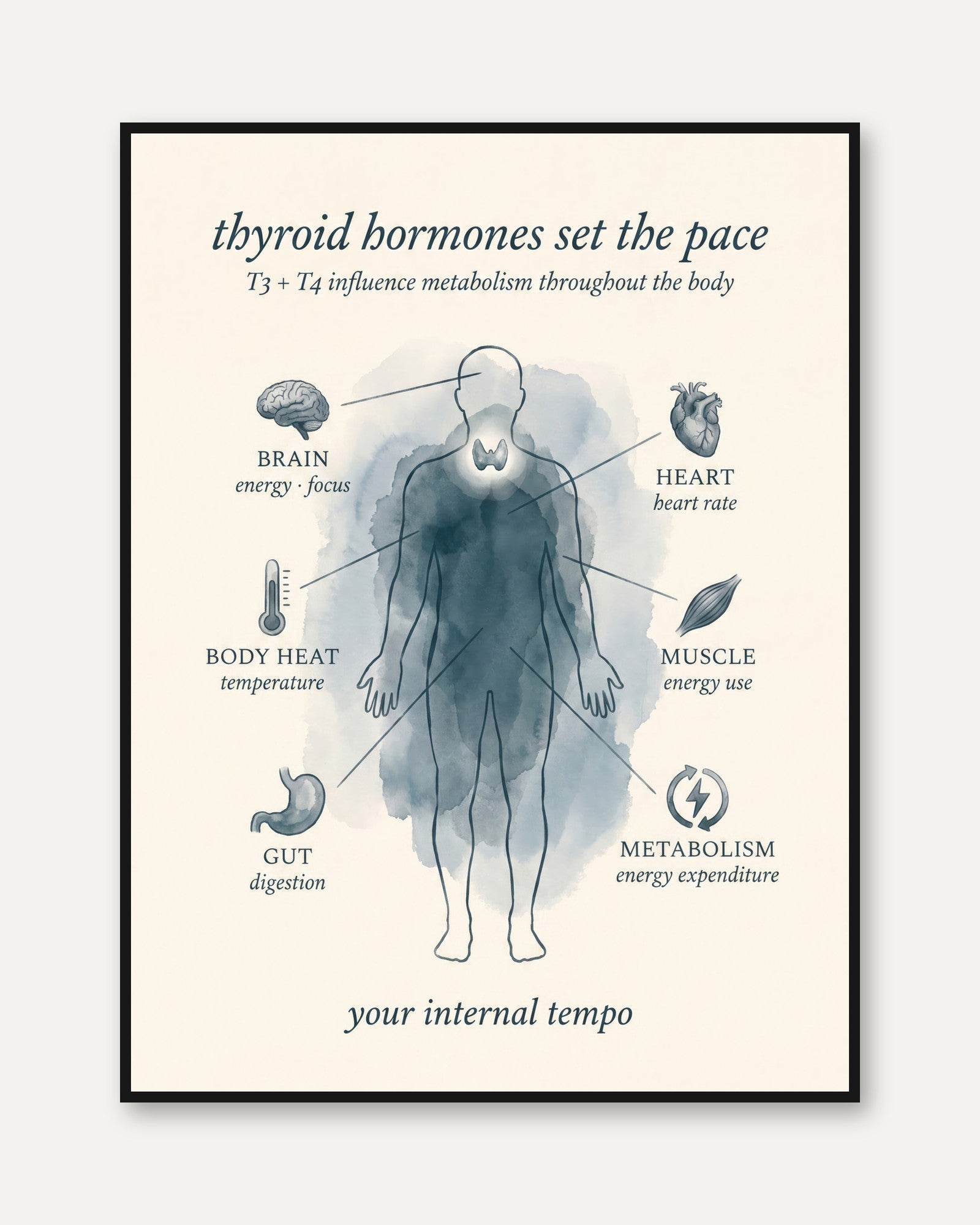 Thyroid Anatomy Poster - framed