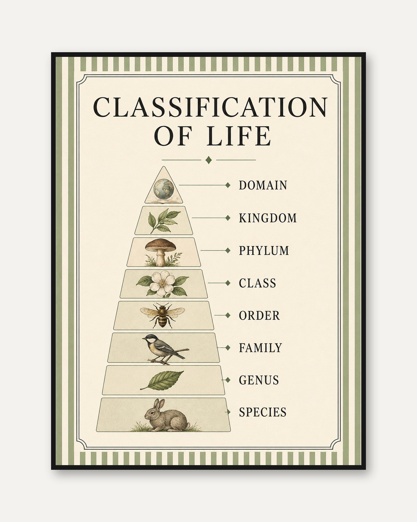 Biology Classroom Poster - framed