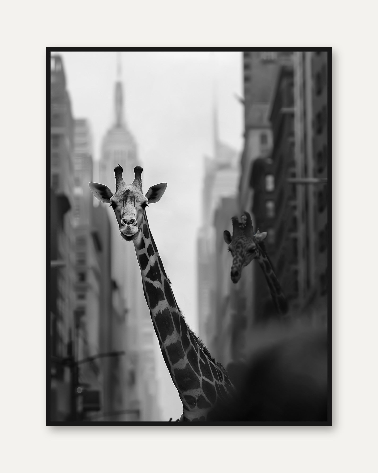 Giraffe Wall Art Poster - framed