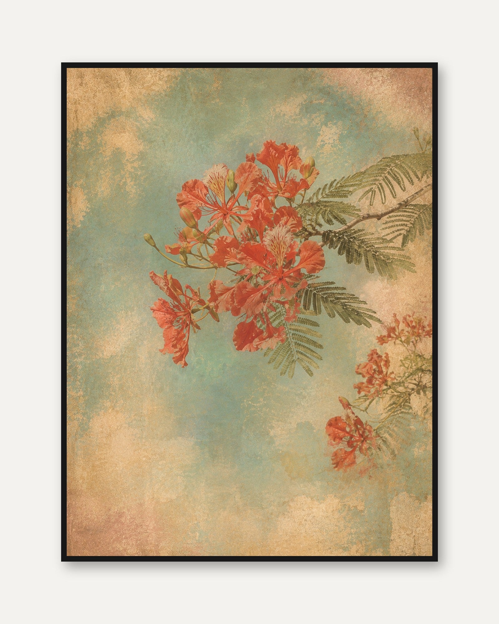 Tropical Flamboyant Flowers Art Print: Vintage Botanical Style - framed